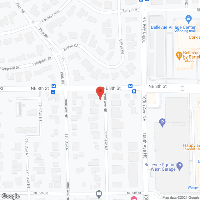 The Home Care Company in google map