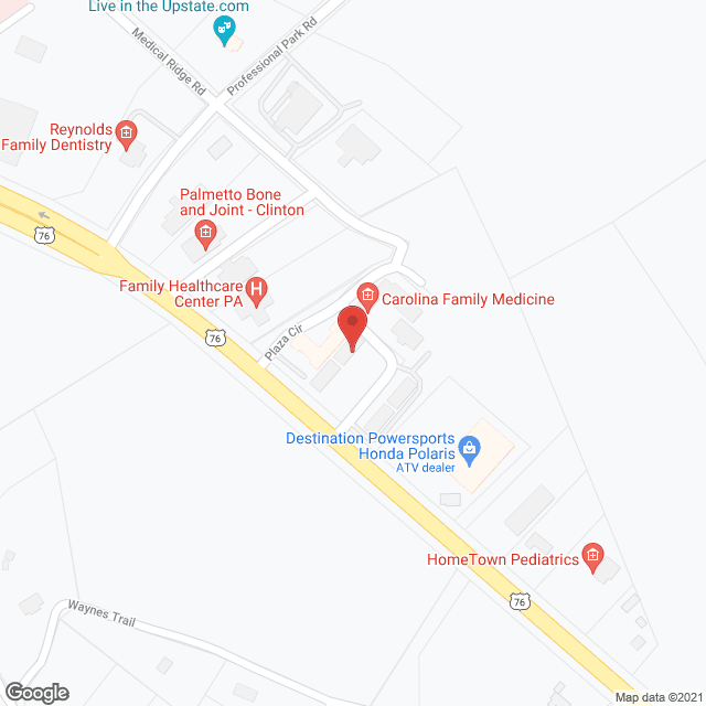 Palmetto Infusion Svc in google map