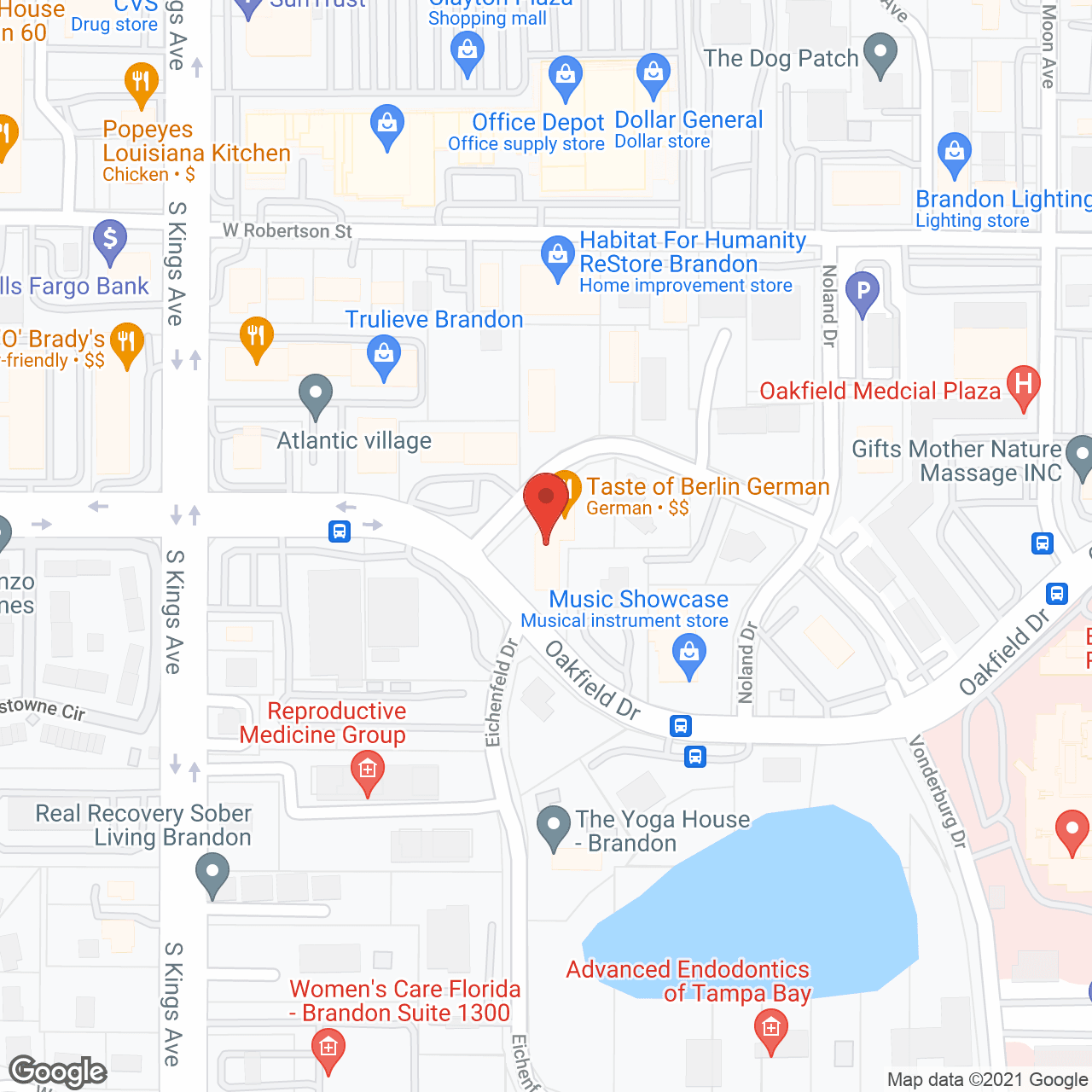 A Better Solution of Brandon, FL in google map