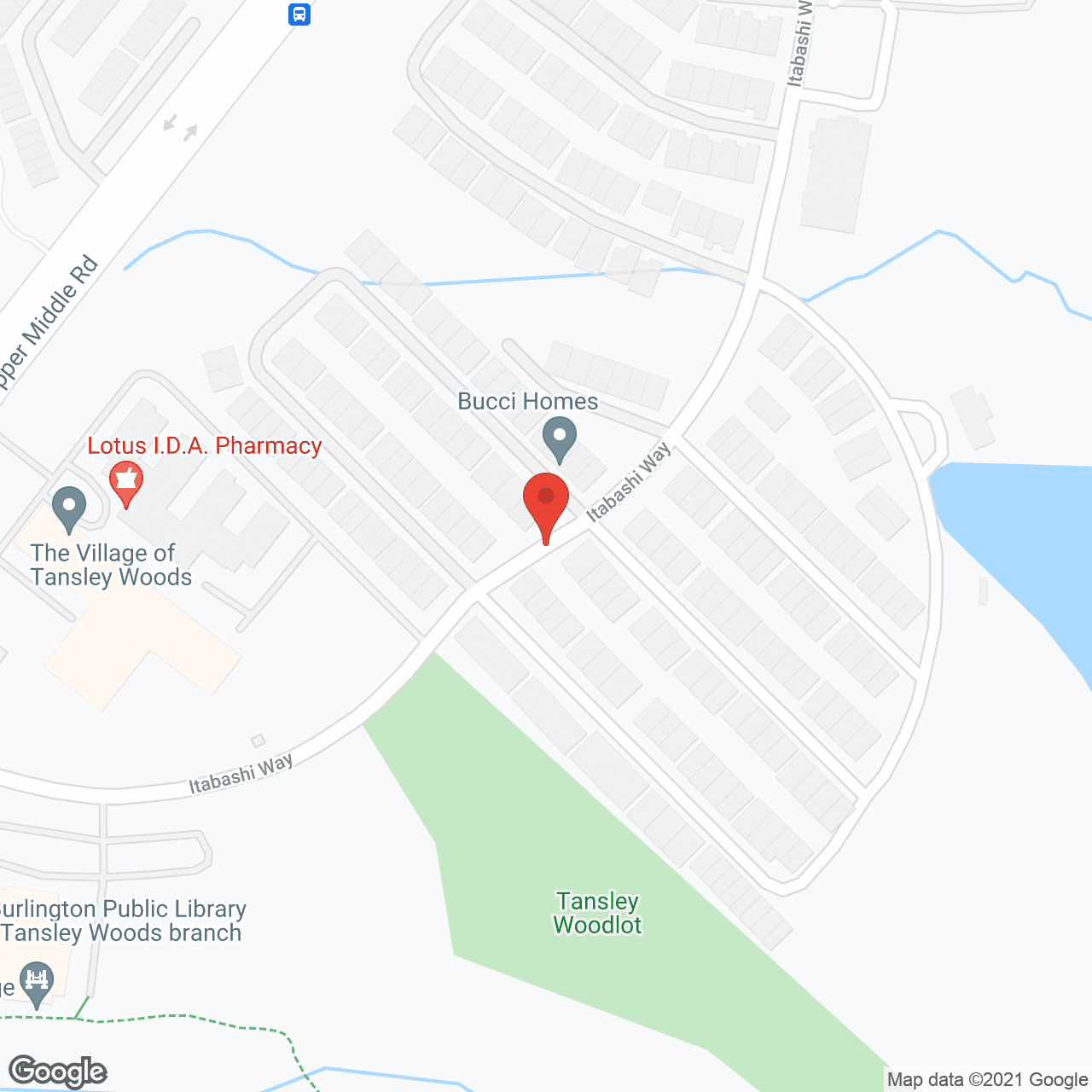 Village Of Tansley Woods in google map