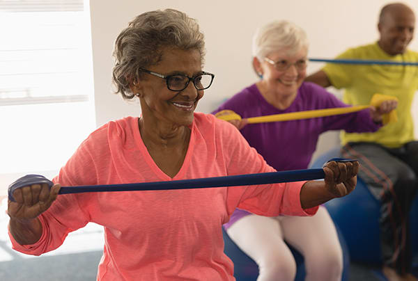 A group of seniors in an exercise class
